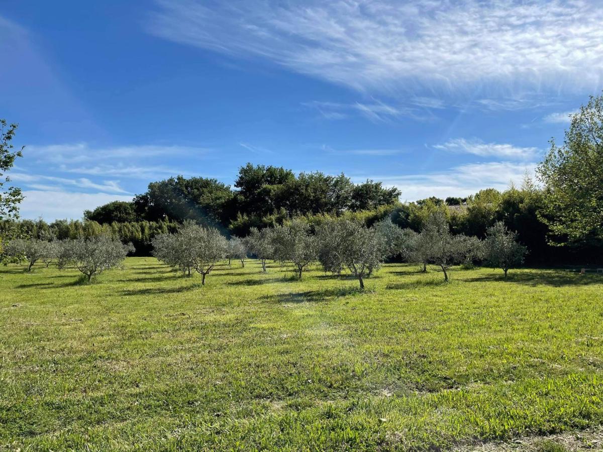 Appartement De Charme Sud Luberon Classe 4 Etoiles Puyvert Bagian luar foto